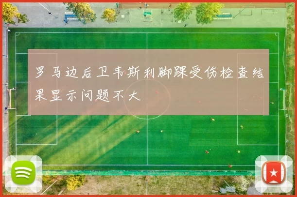 罗马边后卫韦斯利脚踝受伤检查结果显示问题不大