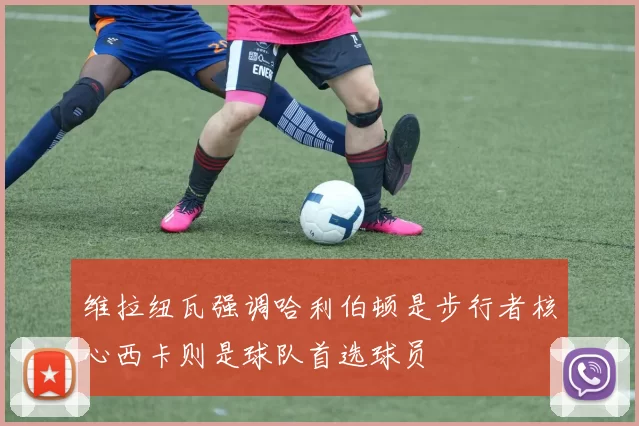 维拉纽瓦强调哈利伯顿是步行者核心西卡则是球队首选球员