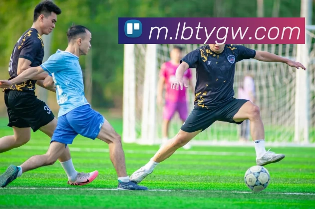 多媒体互动体验